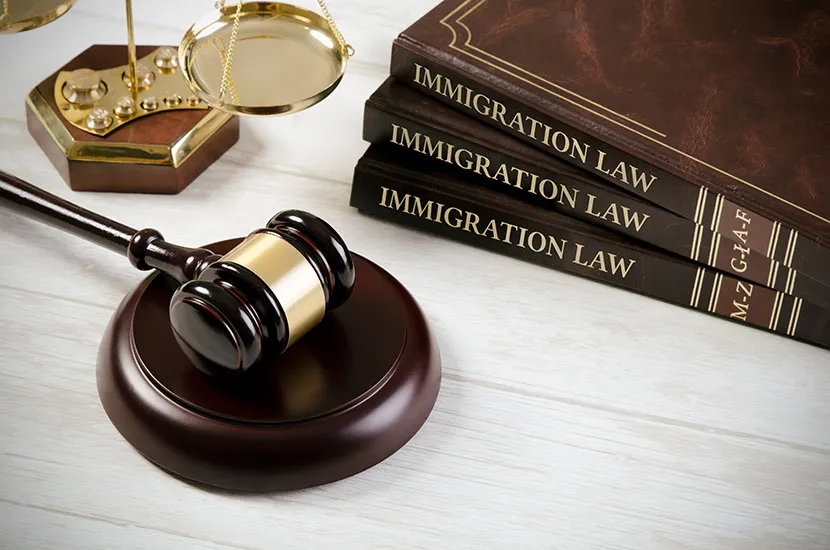 Best Immigration Lawyer