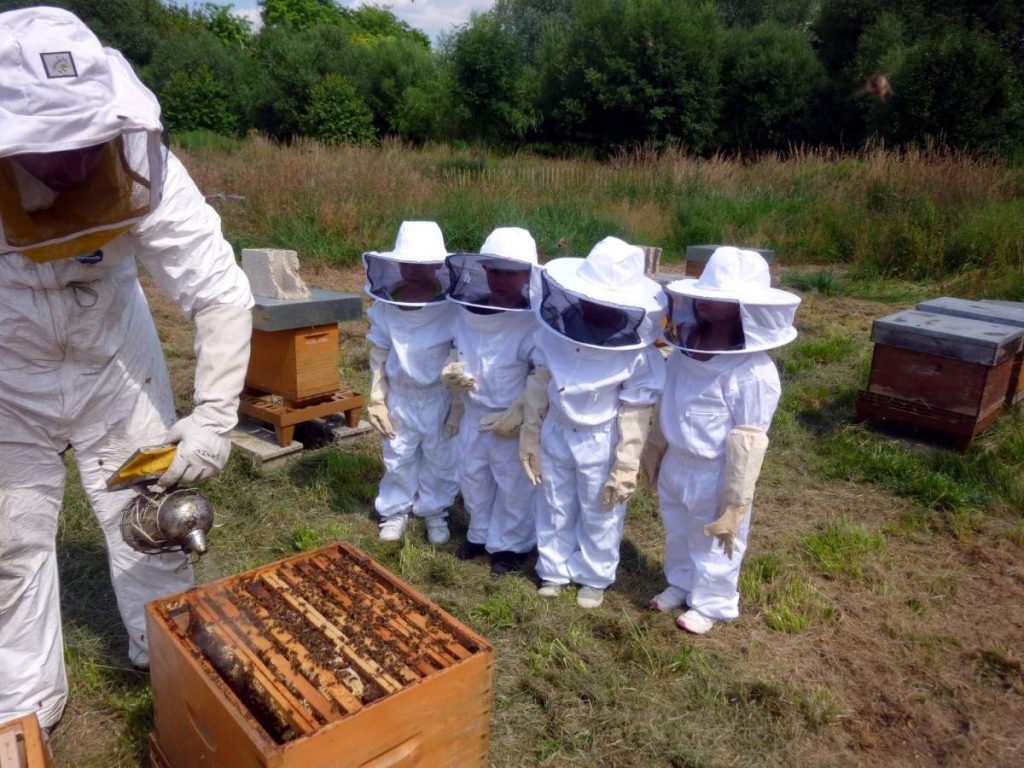 BuzzSafe: A Dependable and Trustworthy Beesuit for Beekeepers