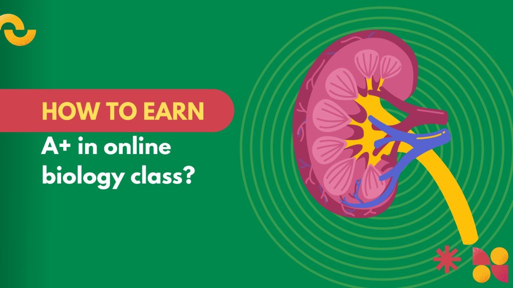 How to earn A+ in online biology class?