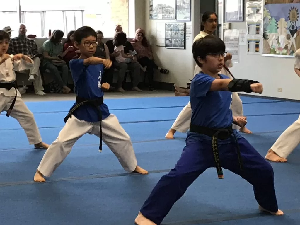 Mastering the Art of Martial Arts: A Lifelong Journey