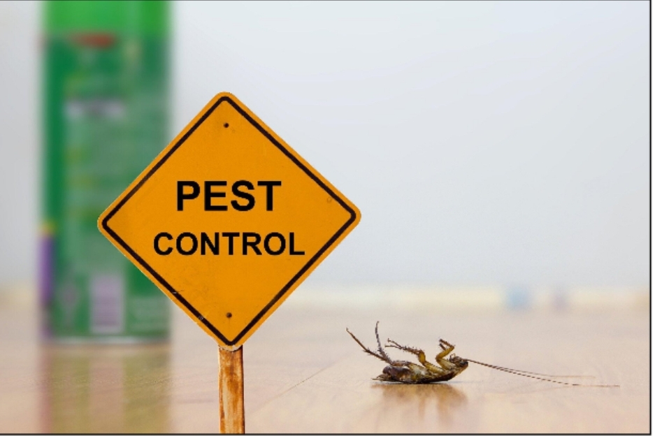 5 Tips for Running a Successful Bug Exterminator Business