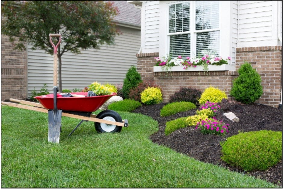The Benefits of Hiring an Affordable Landscaping Business